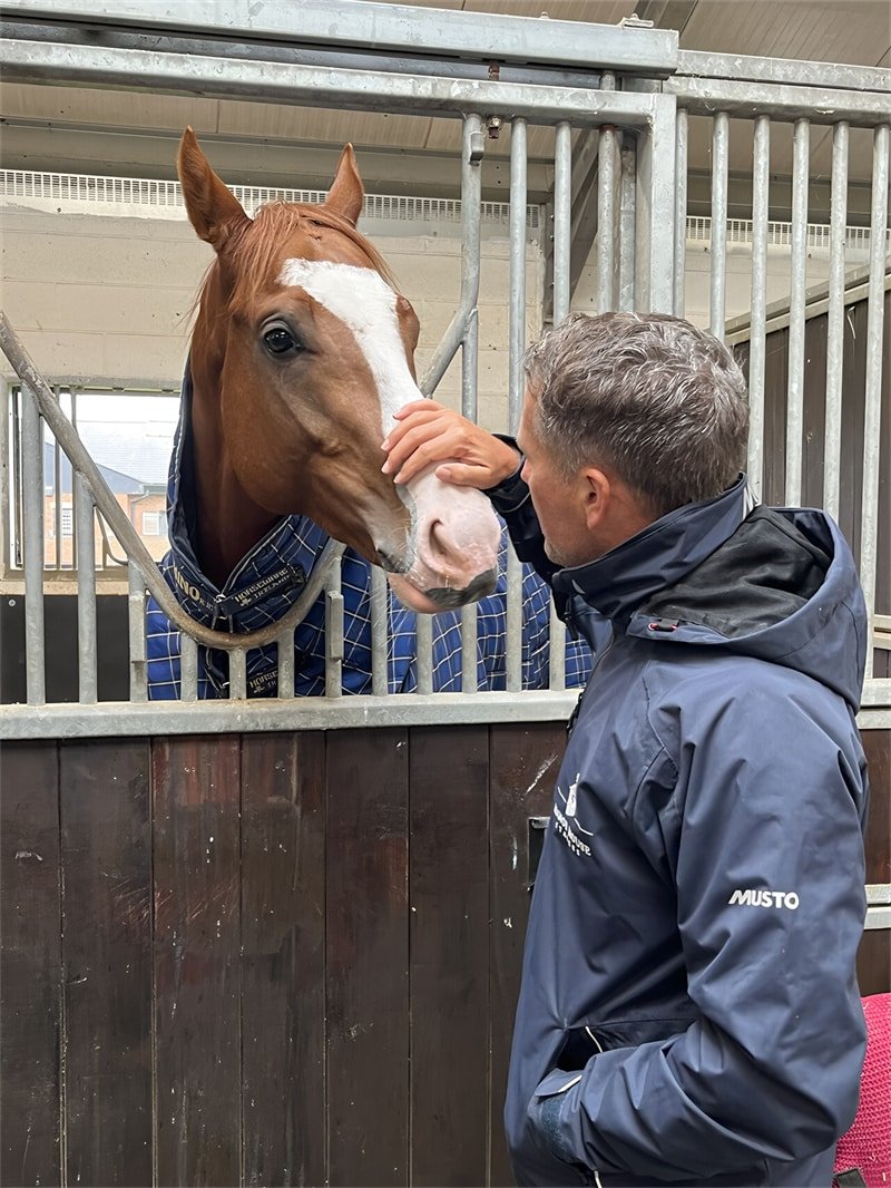 A close-up of a horse interacting with a person through a stall door. The horse is wearing a blanket, and the person is reaching out to touch its nose.