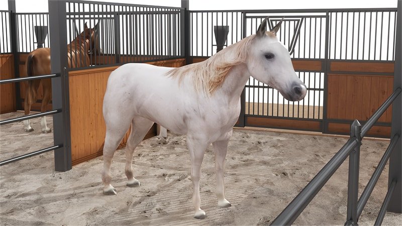 Well-designed horse stable featuring a white horse, sand floor, and secure metal railings.