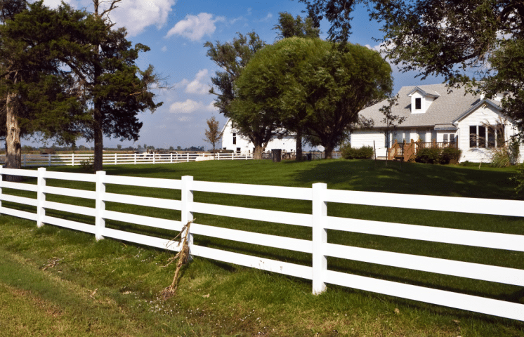 Horse Fence