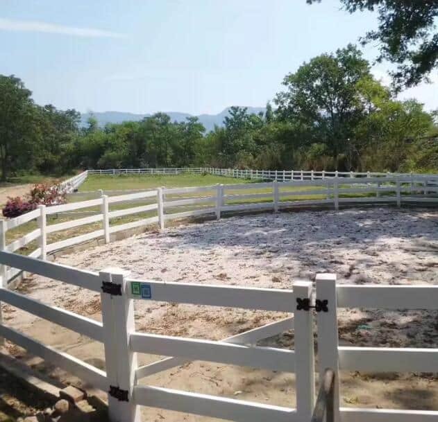 Horse Riding Arenas