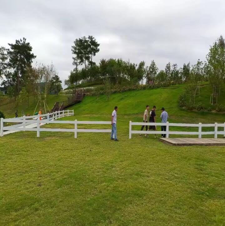 Horse Riding Arenas