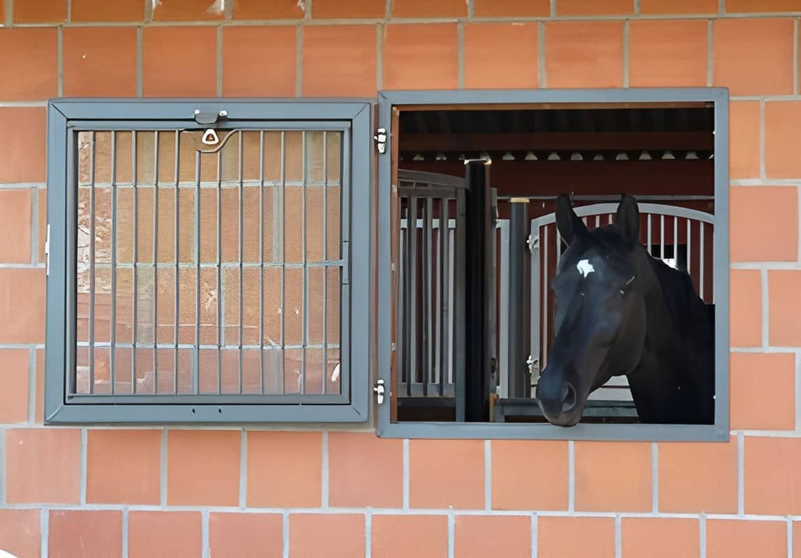 Barn Windows & Doors