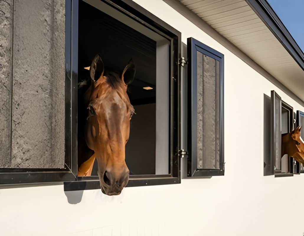 Barn Windows & Doors