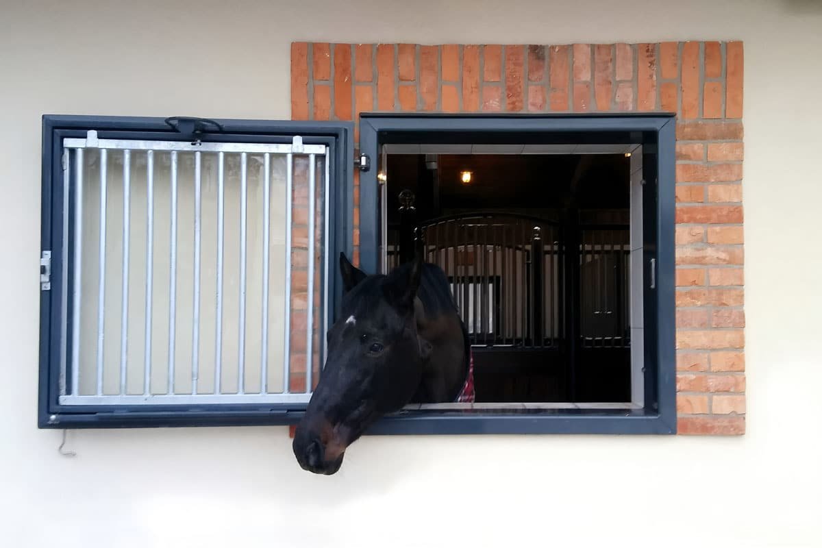 Barn Windows & Doors