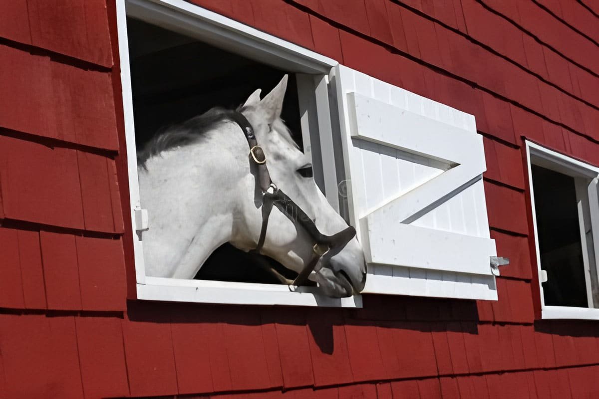 Barn Windows & Doors