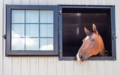Best Barn Window Ventilation Solutions for Improved Air Quality