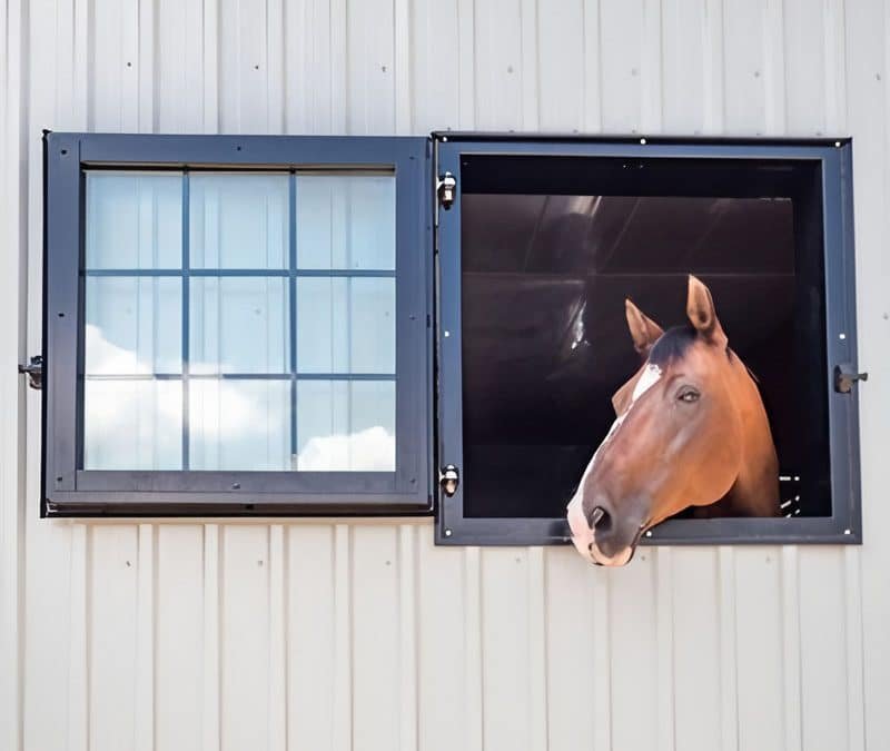 Weatherproofing Barn Doors: Best Materials & Techniques for Extreme Weather