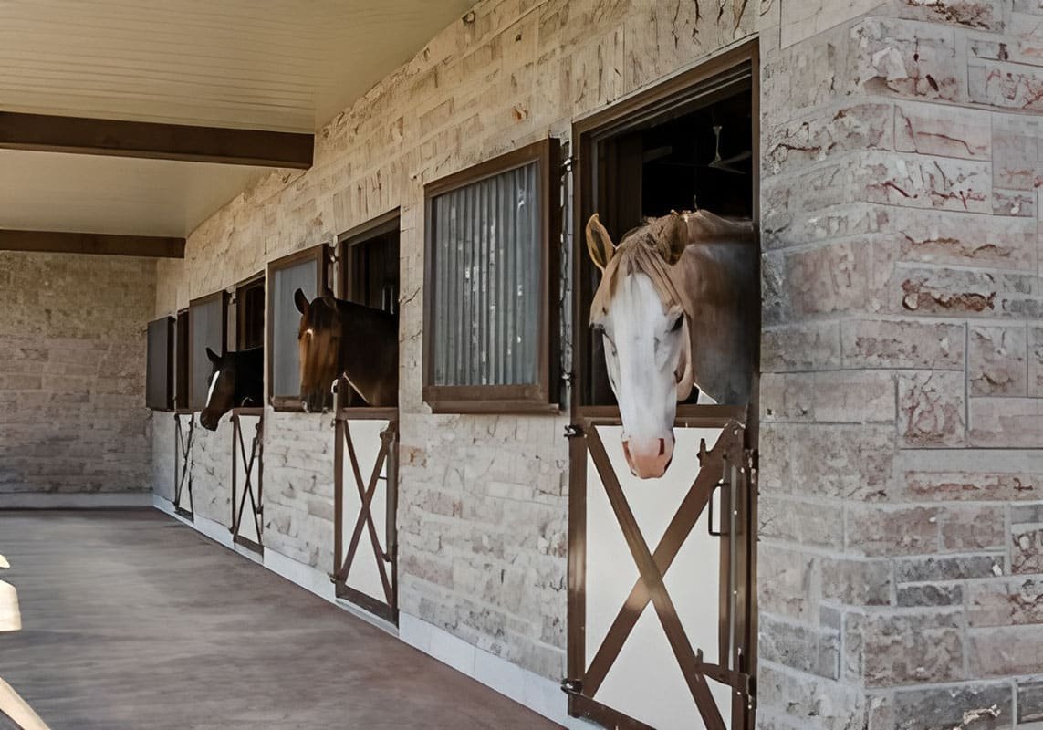 Barn Windows & Doors
