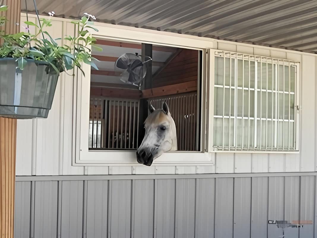 Barn Windows & Doors