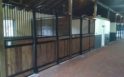 Horse Barn Windows for Natural Light: Sizing, Glazing and Placement