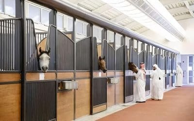 Custom Horse Stables: Optimal Dimensions for Safety & Comfort