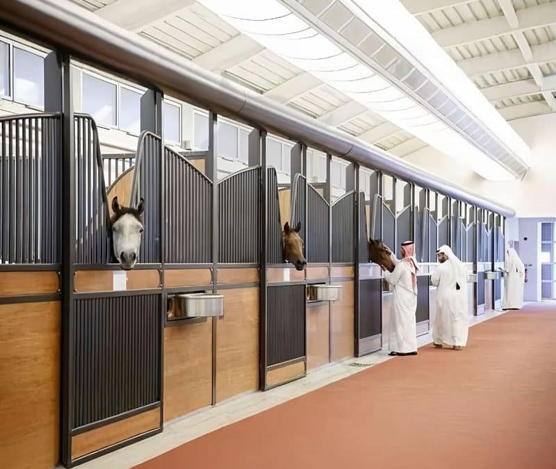 Custom Horse Stables: Optimal Dimensions for Safety & Comfort