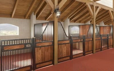 BMEL Equestrian Law: Key Regulations for Horse Welfare in Germany