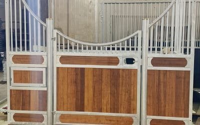 Best Insulated Horse Stable Designs for Danish Winters
