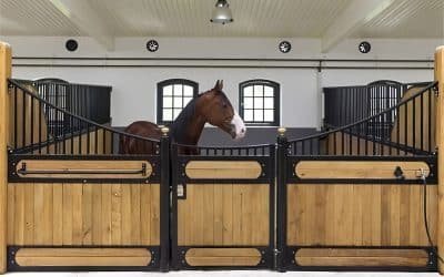 Overseas Stable Sourcing: How to Import Horse Products Successfully