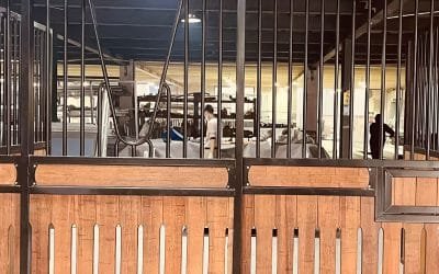 Bulk Equestrian Buying: Streamline Horse Facility Procurement & Save Costs