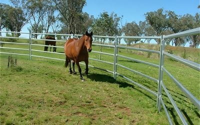 Buying More Than Stables? How to Consolidate Fencing & Flooring