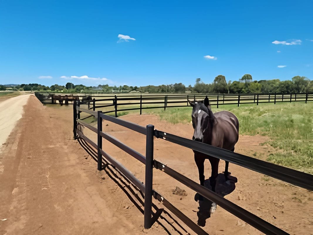 Horse Fences