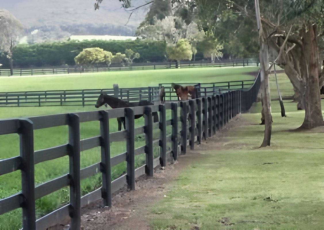 Horse Fences