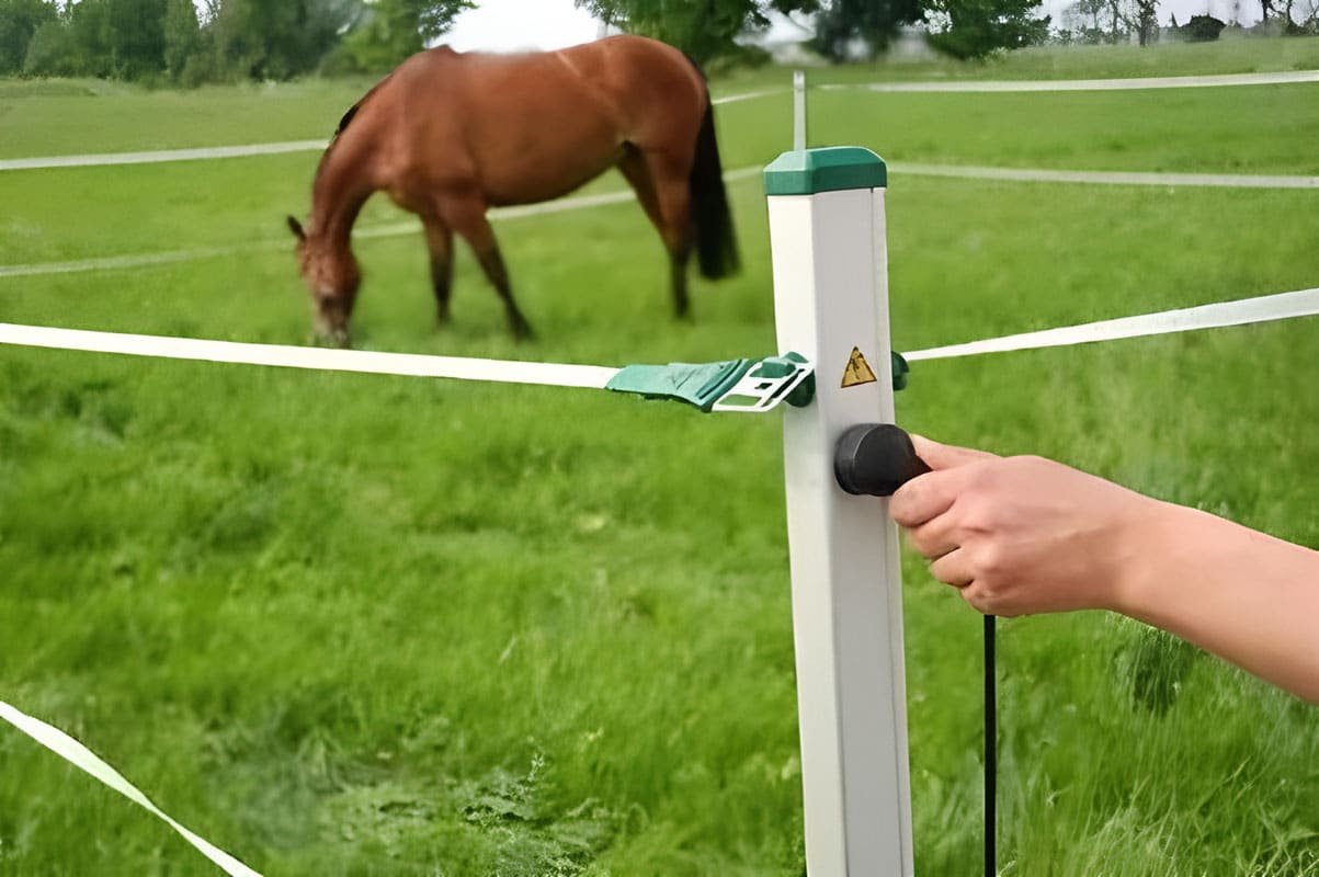 Horse Fences