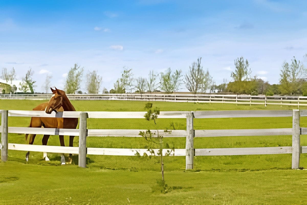 Horse Fences