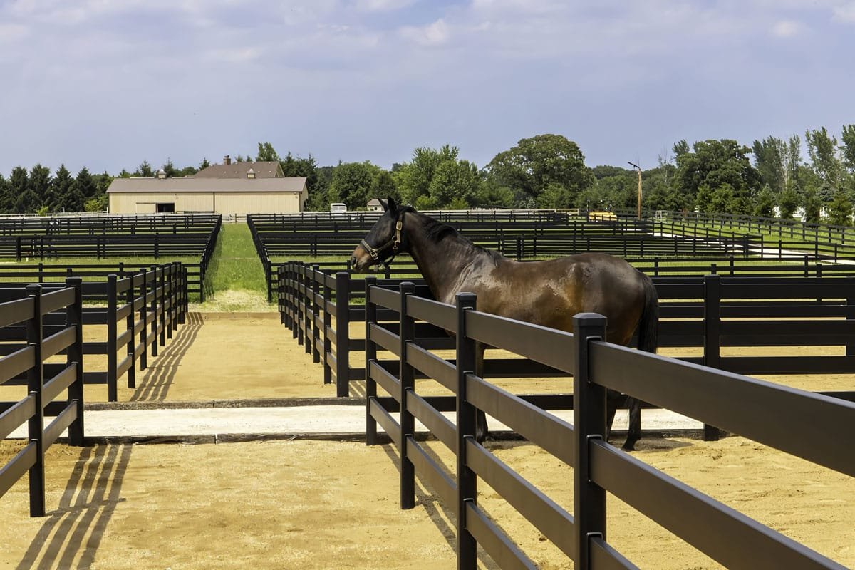 Horse Fences
