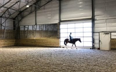 Best Arena Dust Control Solutions in Spain for Safety & Air Quality