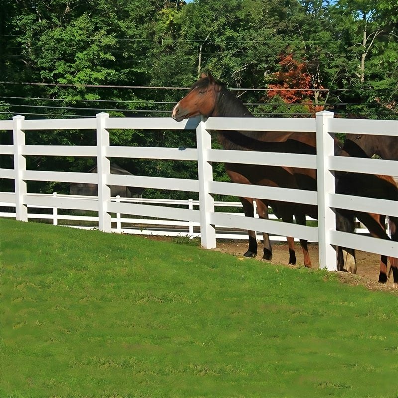 Horse Fences