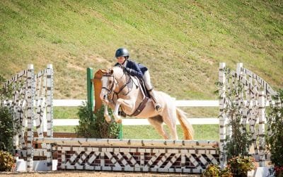 FEI Standard Horse Show Jumps: What the Rules Actually Require