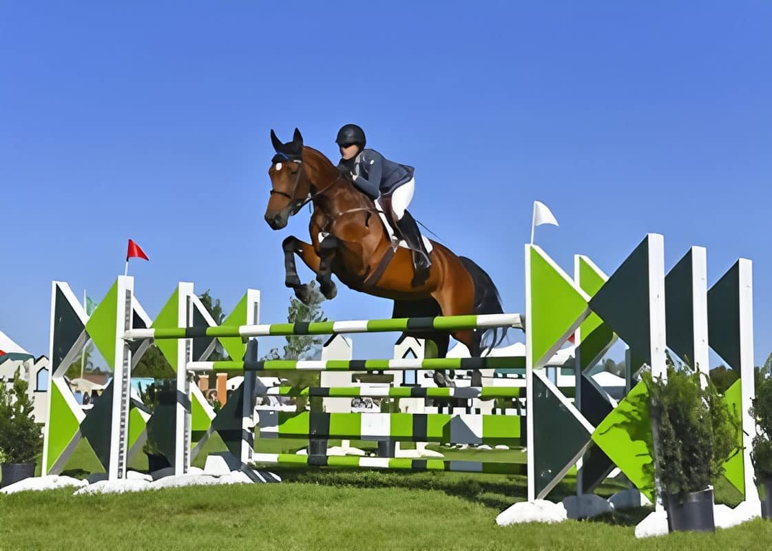 Horse Show Jumps