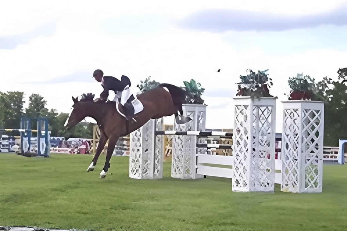 Horse Show Jumps