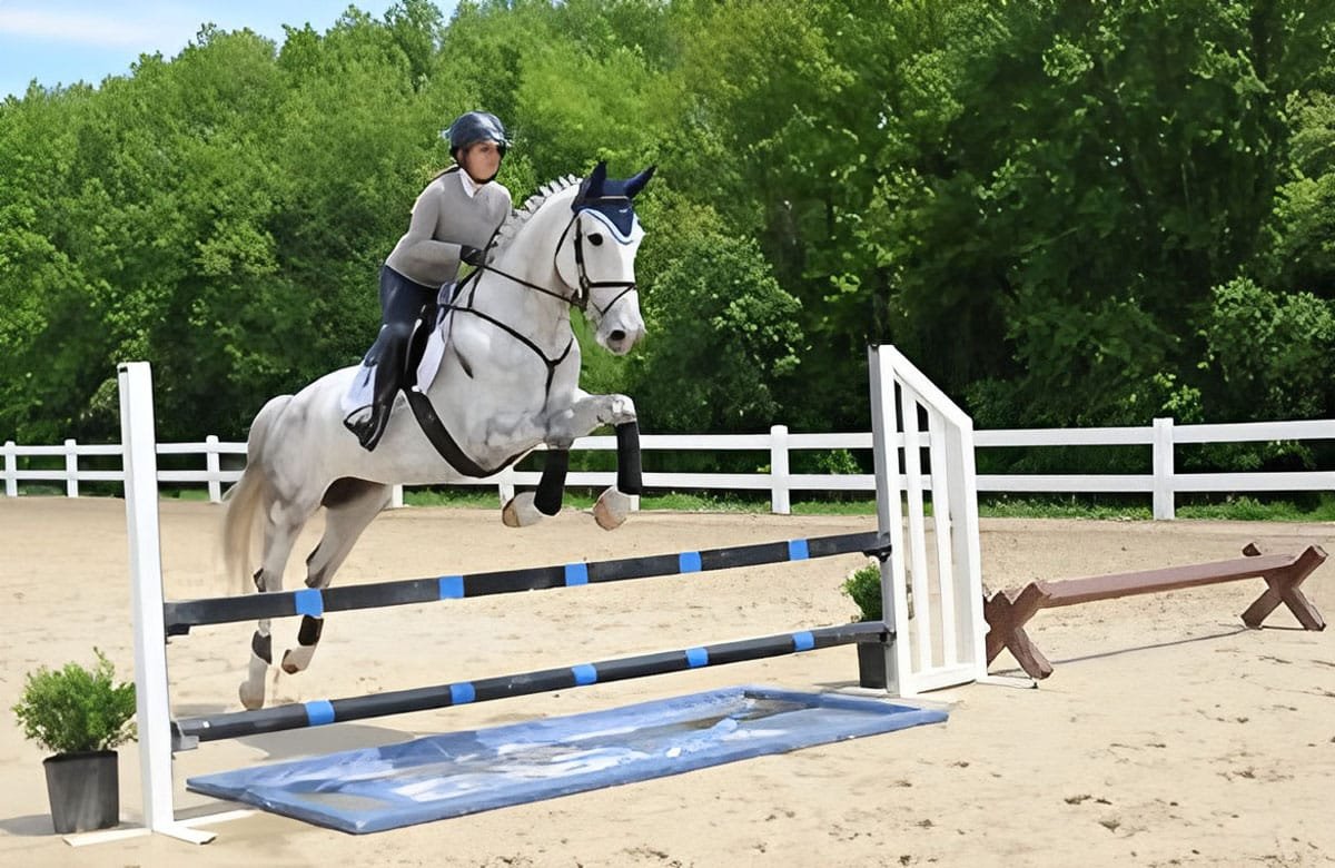 Horse Show Jumps