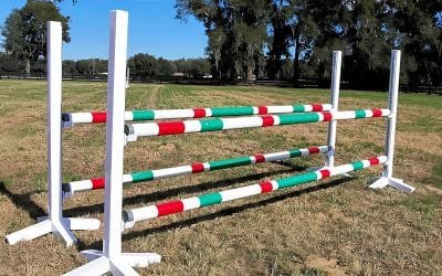 Bulk Horse Jumps Discount: Save Big with Wholesale Show Jumps