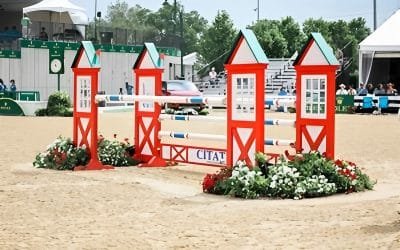 Seasonal Buying Strategy for Equestrian Products: Optimize Inventory & Sales