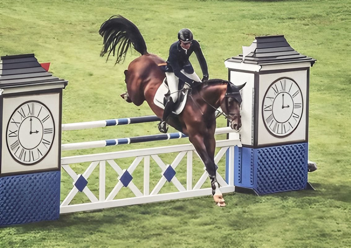 Horse Show Jumps