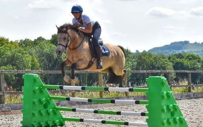 Custom Horse Jumps for Branded Equestrian Events: Design & Durability