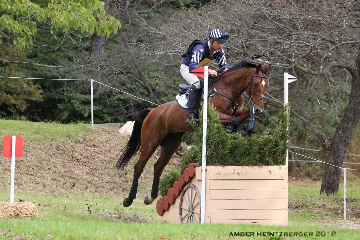 European-style horse show jumps with painted rails for equestrian competition