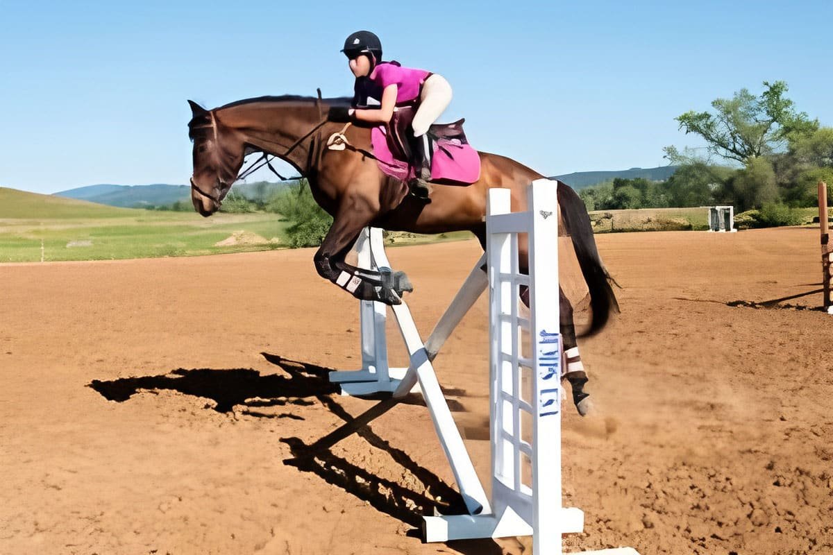 Horse Show Jumps