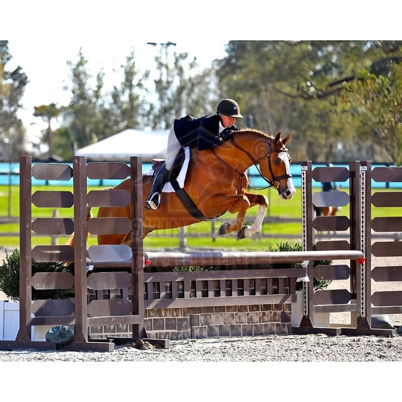Horse Show Jumps