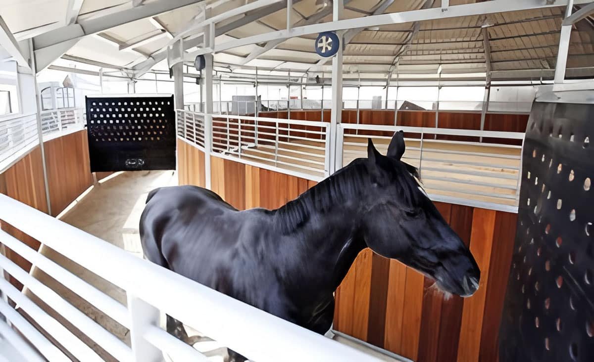 Lunging Pens & Horse Walkers