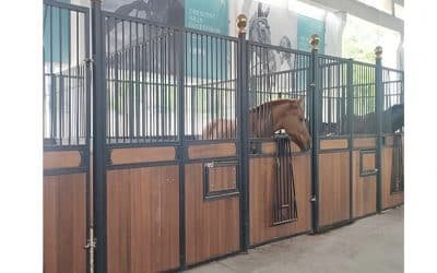 Prefabricated Equestrian Barn Prices and Dealer ROI Guide