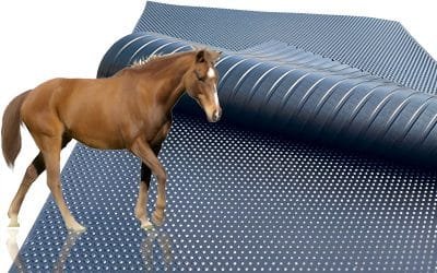 Rubber Mat Lifecycle: Cost Comparison of Replacement vs. Maintenance