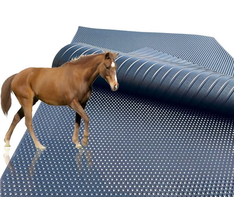 Rubber Mat Lifecycle: Cost Comparison of Replacement vs. Maintenance