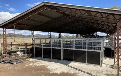 U.S. Horse Stable Regulations: Agricultural Guidelines & Compliance