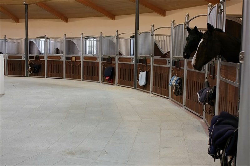 A beautifully designed horse stable with horses in view.
