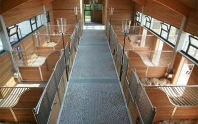 Galvanized Steel vs HDPE Horse Stalls Durability & Cost