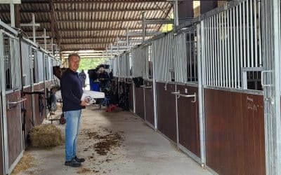Horse boarding Profitability Guide