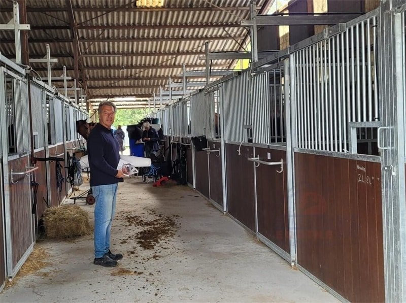 Luxury horse stable interior with wooden ceiling, modern lighting, and horses in individual stalls with premium finishes.