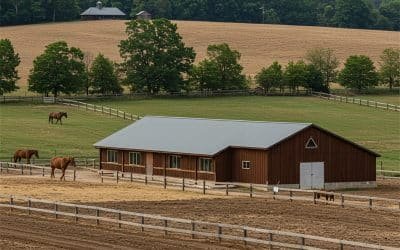 Building a Successful Professional Equestrian Facility