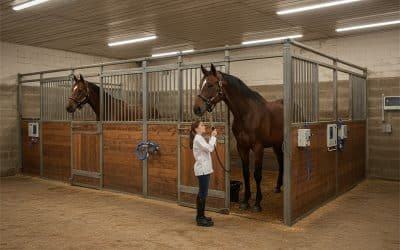 Designing Medical-Grade Equine Hospital Stables